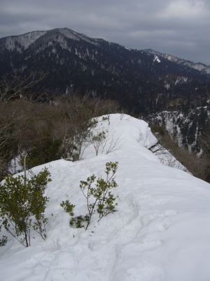 堂満岳から金糞峠方面へ　雪庇が出ている