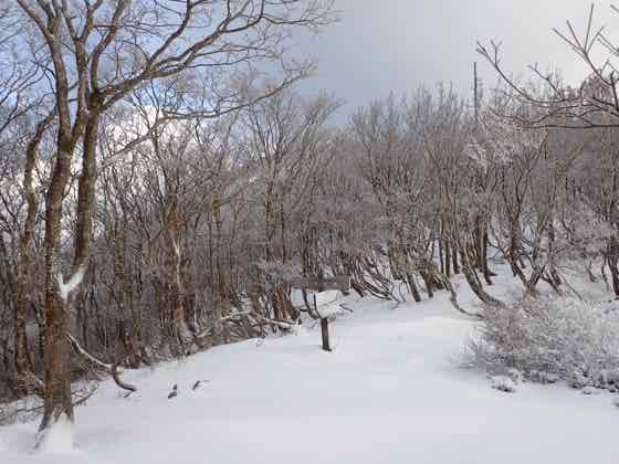 ワサビ峠　通年より雪が少ない