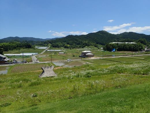 檜隈寺跡からの風景