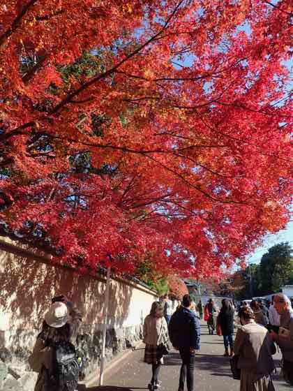 東福寺に行く途中