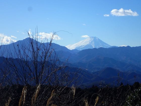 高尾から見る富士山