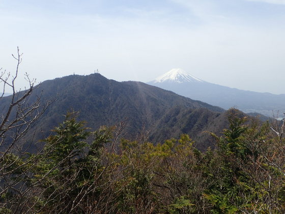 本社ヶ丸から富士山