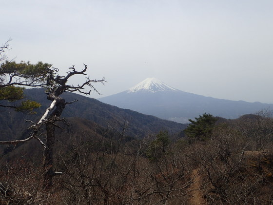 清八山から見る富士山